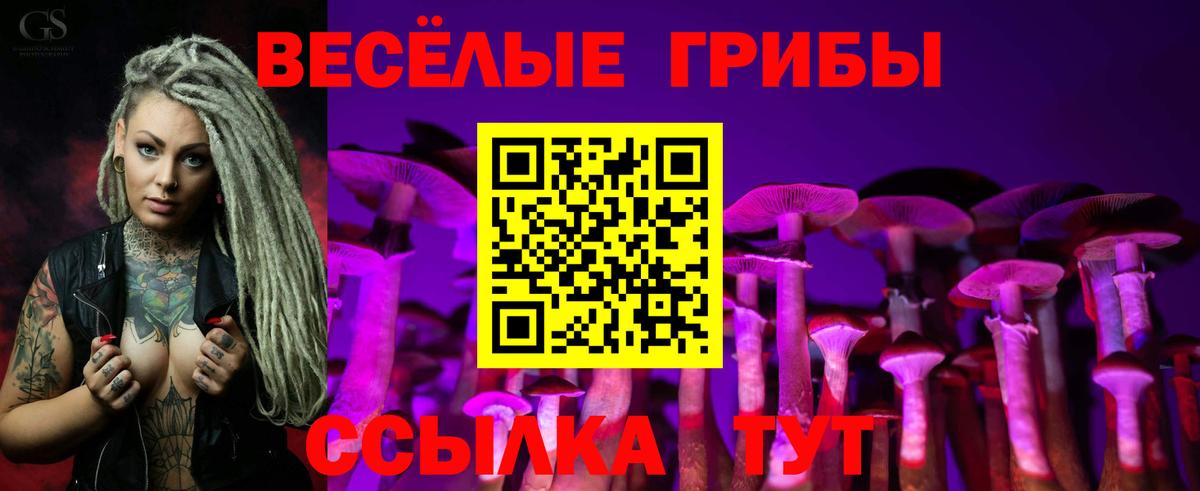 Псилоцибиновые грибы GOLDEN TEACHER Полевской